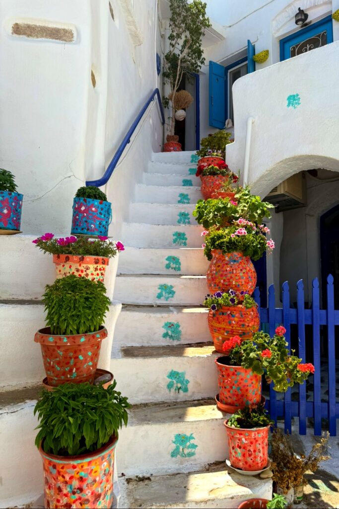 Vibrant flower pots line whitewashed stairs with blue door in Lefkes, Paros.