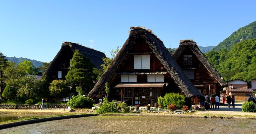 Traditional thatched-roof gassho farmhouses beside a river in Shirakawa-go village, Japan.