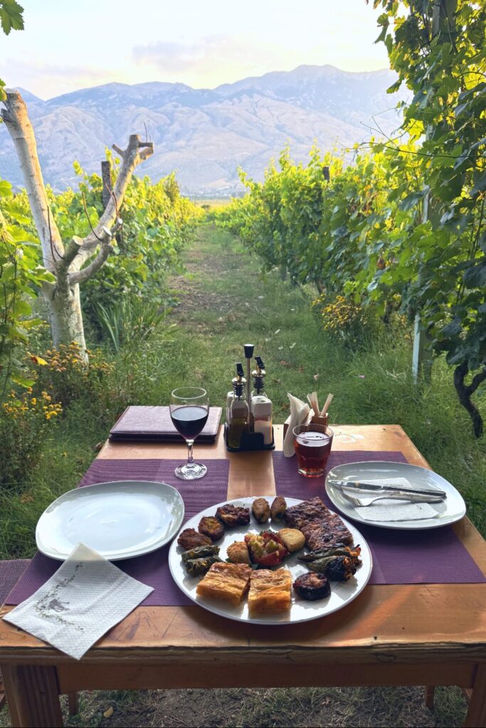 Outdoor dining table with wine and food overlooking Albanian vineyard rows and mountains.