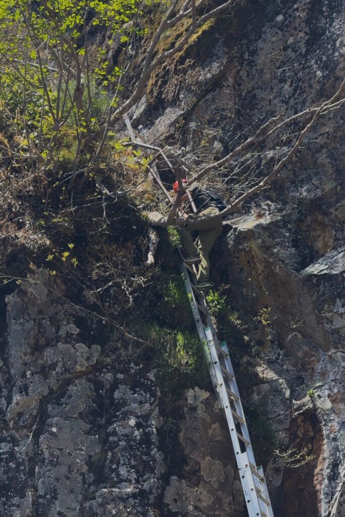 Metal ladder bolted into a rocky cliff face on the Mount Yakedake trail in Kamikochi, Japan