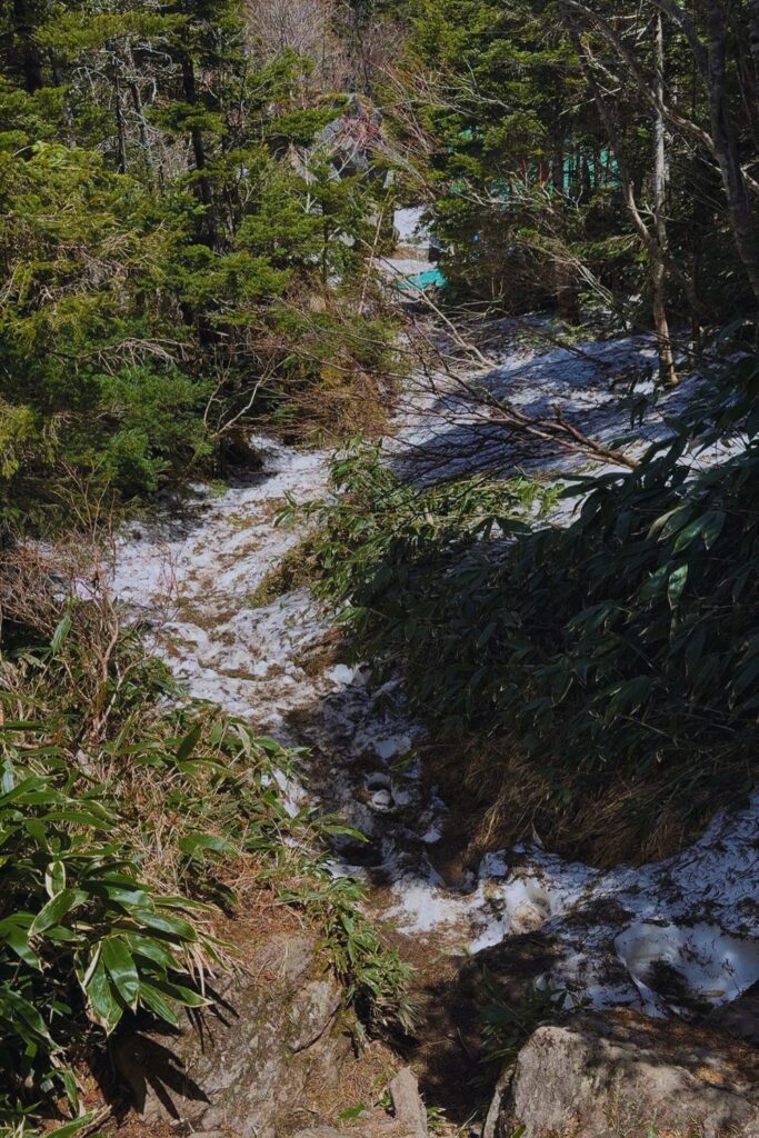 Snow-covered trail through dense forest on the ascent of Mount Yakedake in the Japanese Alps