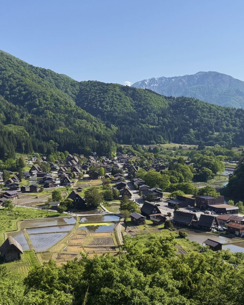 Aerial view of Shirakawa-go village from Shiroyama viewpoint, showing gassho-zukuri farmhouses, rice paddies, and snow-capped mountains