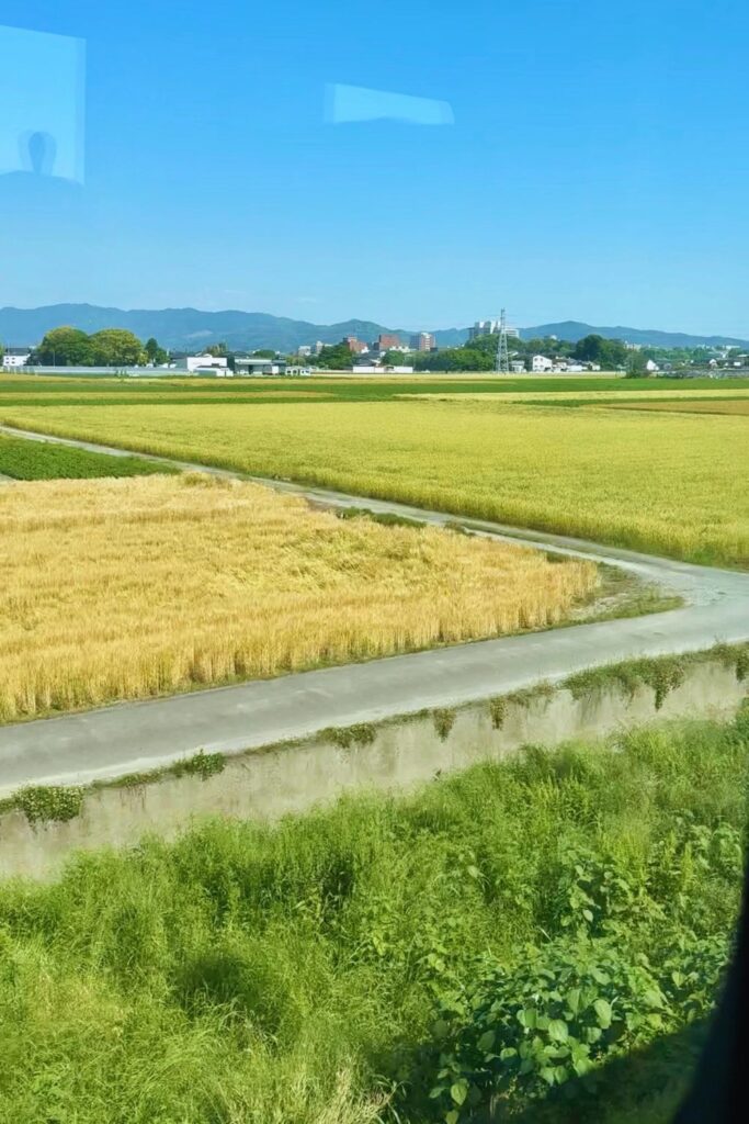 Rice fields and mountains seen from the window of the Yufuin no Mori train in Oita Prefecture.