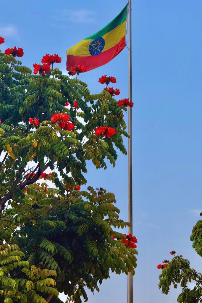 Ethiopian flag hanging near a flowering tree