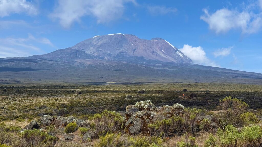 First clear view of Mount Kilimanjaro's summit across the moorland on day 2 of the Lemosho Route