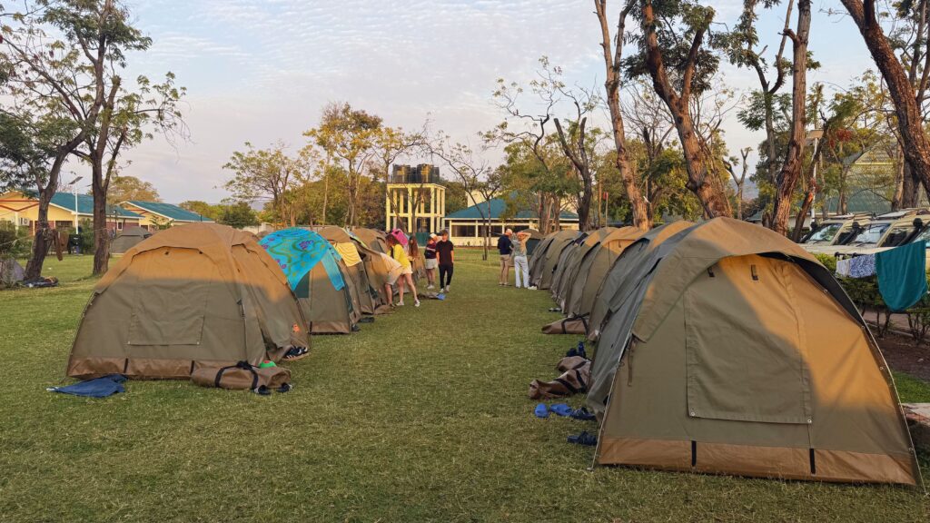 Tents set up on a lawn at a safari campsite during the day