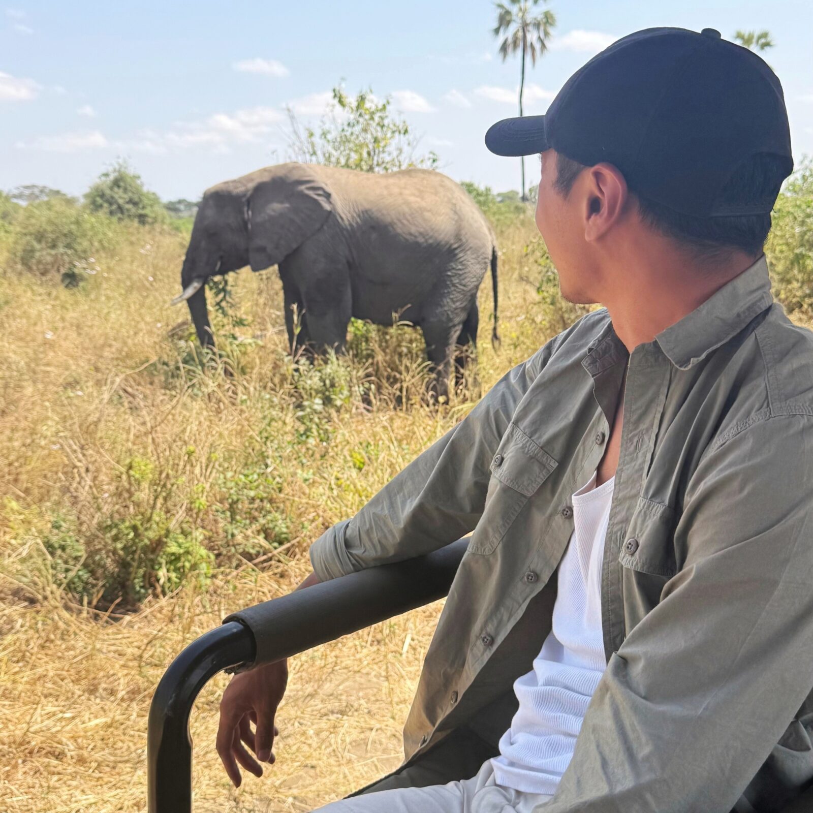 Man looking at elephant eating grass from safari vehicle