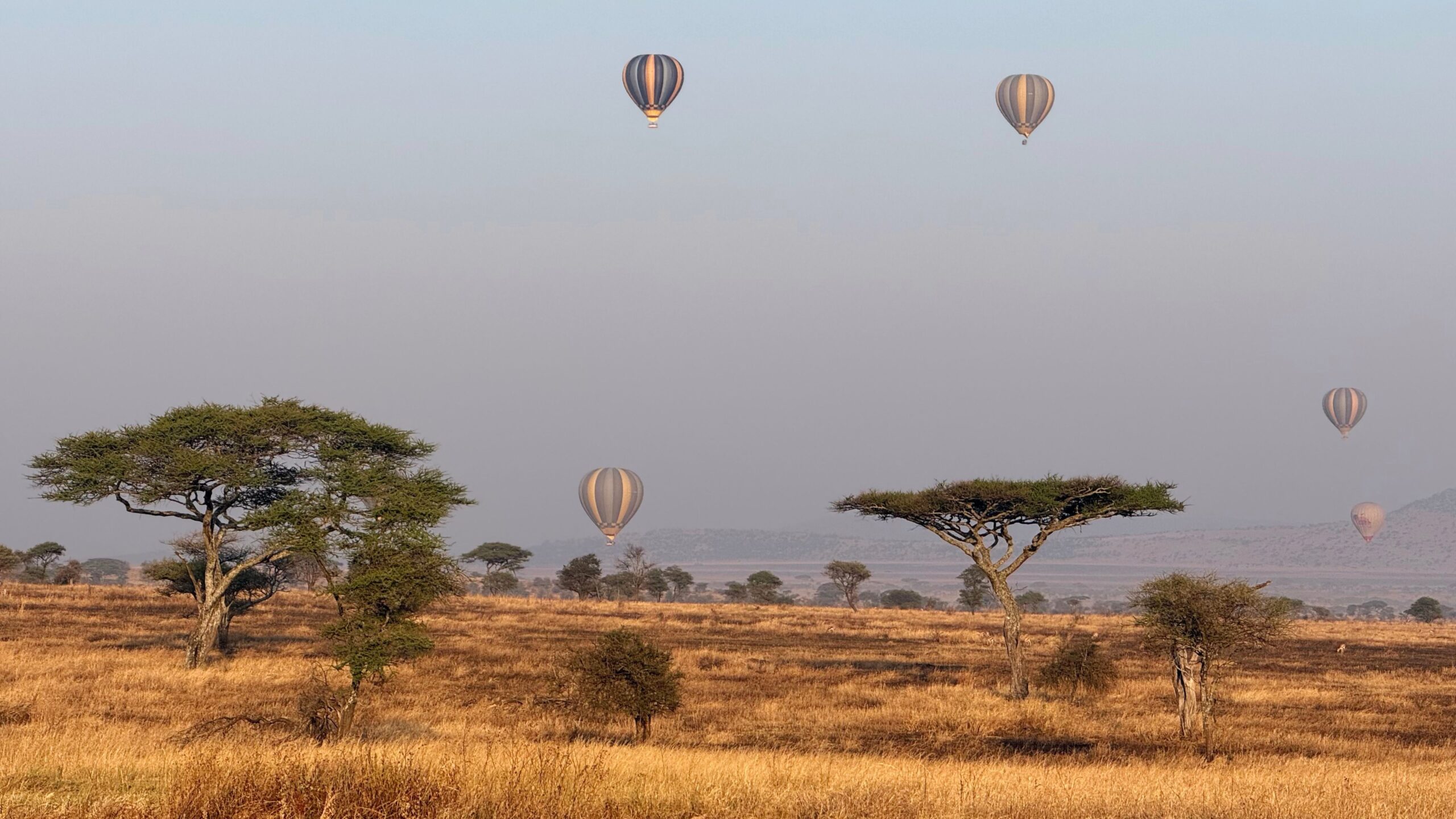 Hot air balloons rising over the Serengeti at sunrise during a Tanzania safari