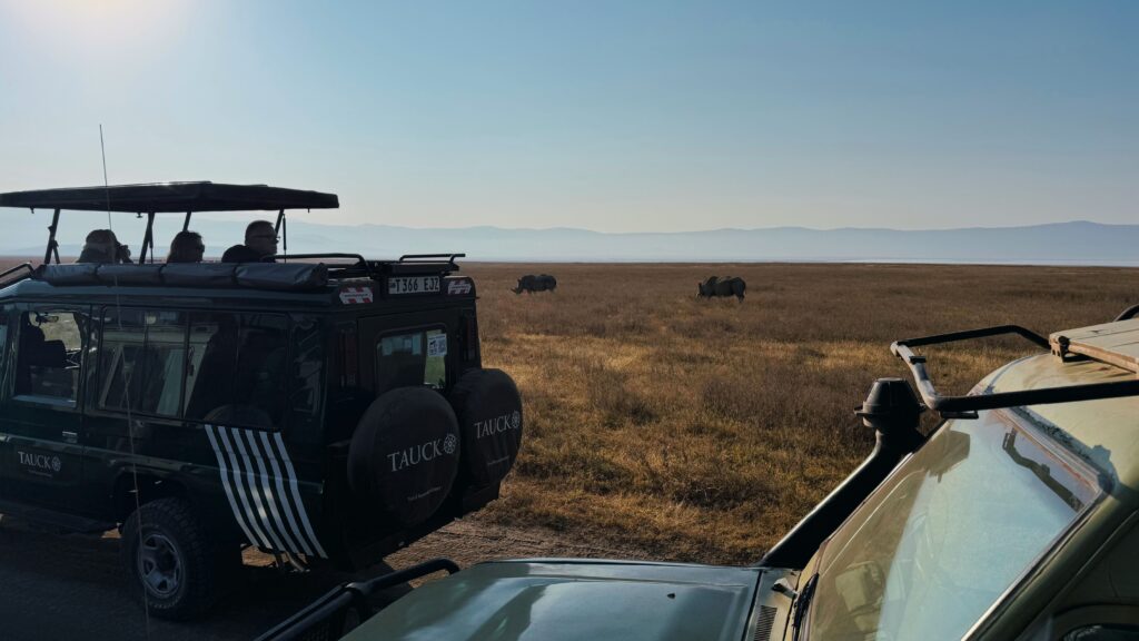Several safari jeeps parked together while tourists view rhinos