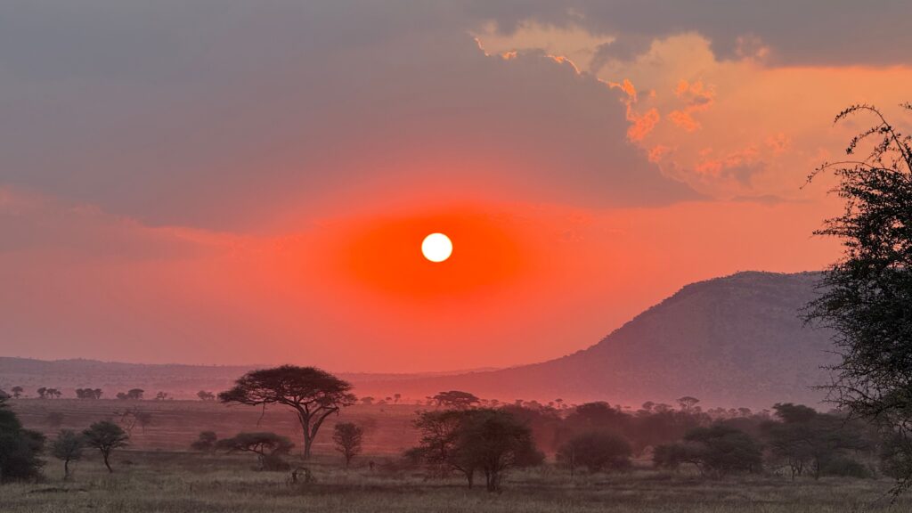 A colorful sunset over the Serengeti savanna