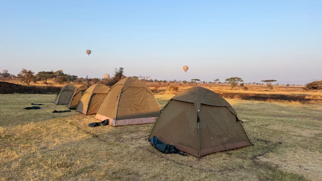 Dome tents at a Serengeti campsite, typical on a budget Tanzania safari