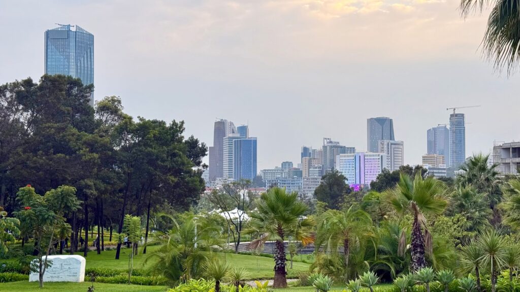 Addis Ababa skyline seen from a park, Ethiopia