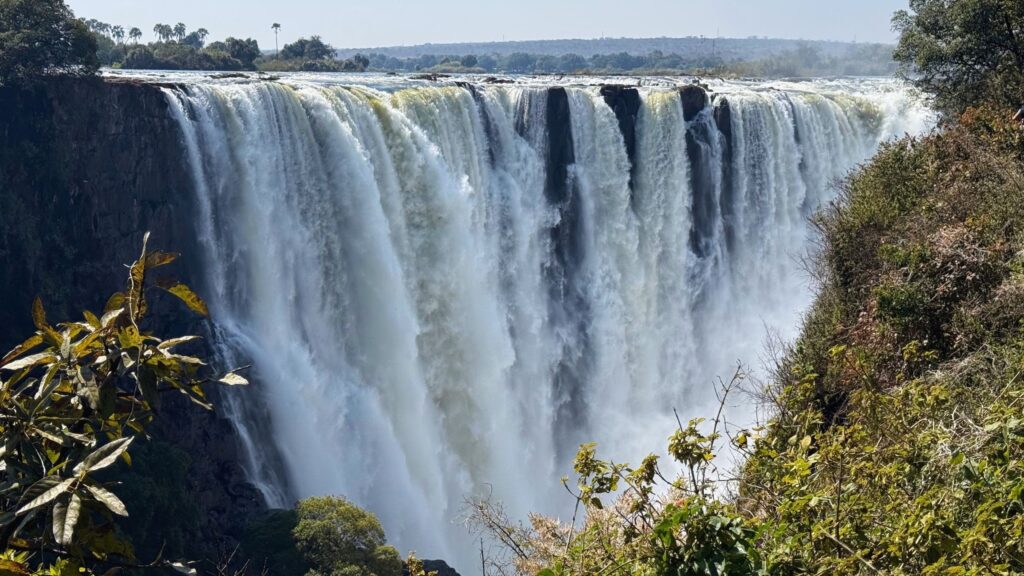 Wide curtain of water pouring over the cliff at Victoria Falls, framed by green trees in the foreground