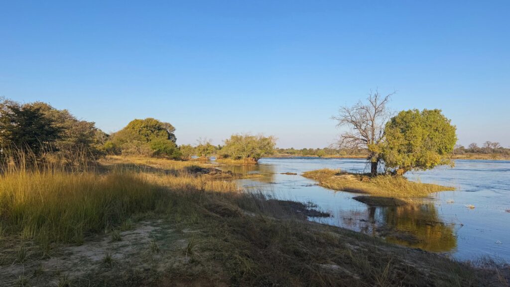 Grassy bank of the Zambezi River near Victoria Falls, with trees and a small island under a blue sky